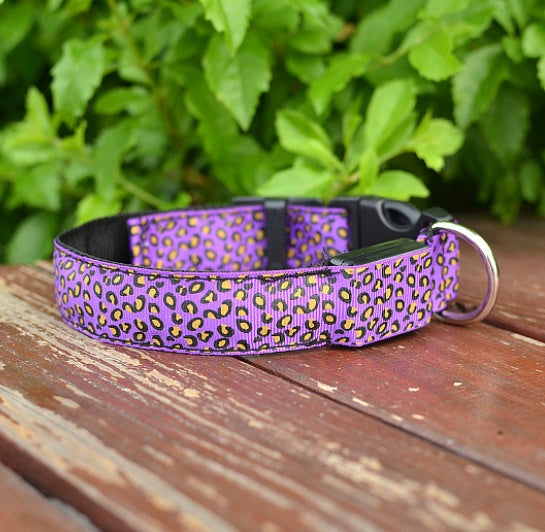 Collare LED in Nylon