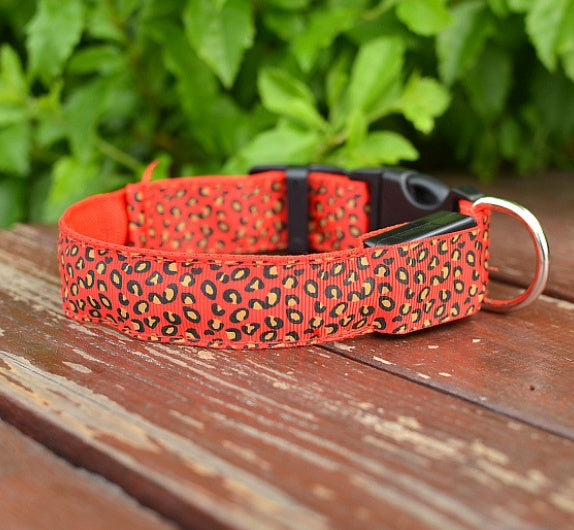 Collare LED in Nylon