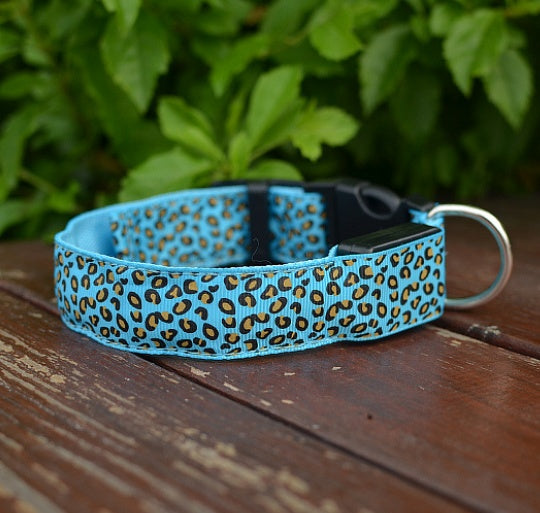 Collare LED in Nylon