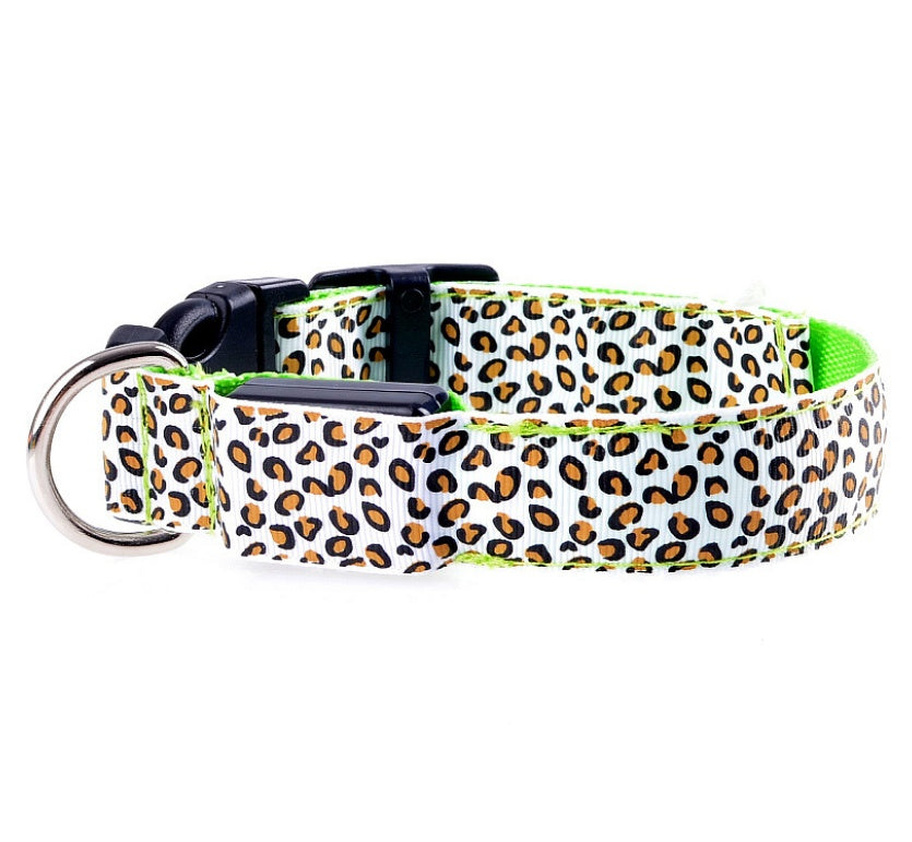 Collare LED in Nylon