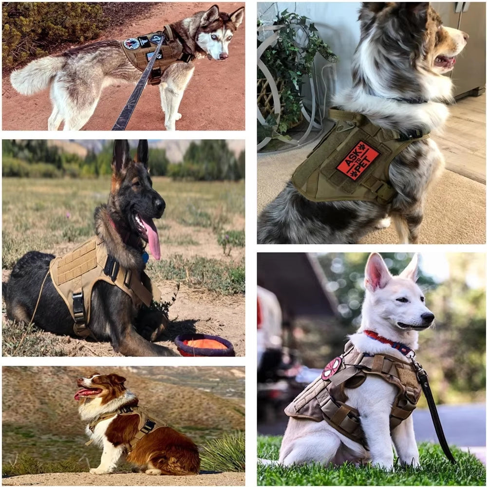 Pettorina Tattica per Cani in Nylon Mimetico 1000D