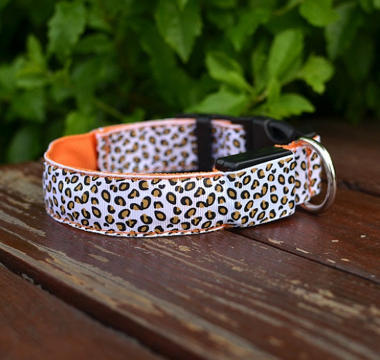 Collare LED in Nylon