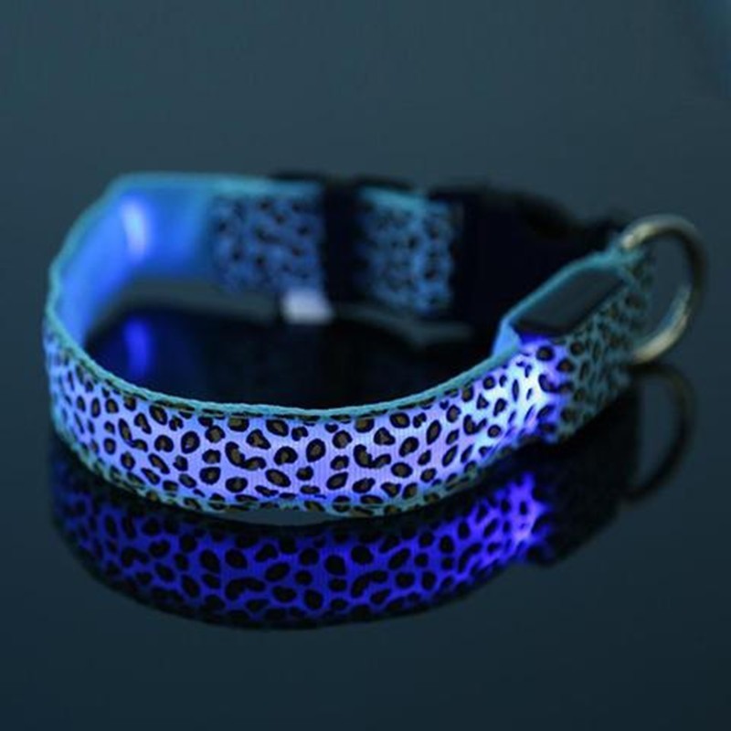 Collare LED in Nylon