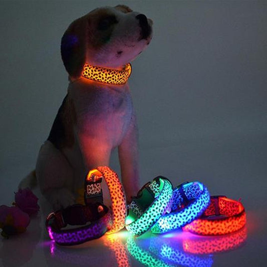 Collare LED in Nylon